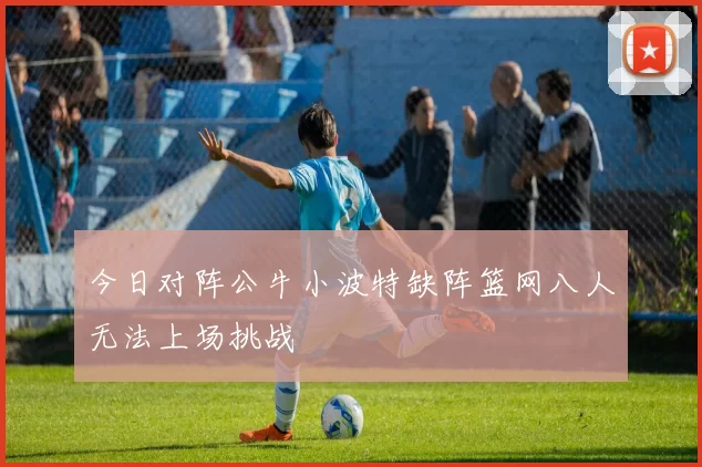 今日对阵公牛小波特缺阵篮网八人无法上场挑战