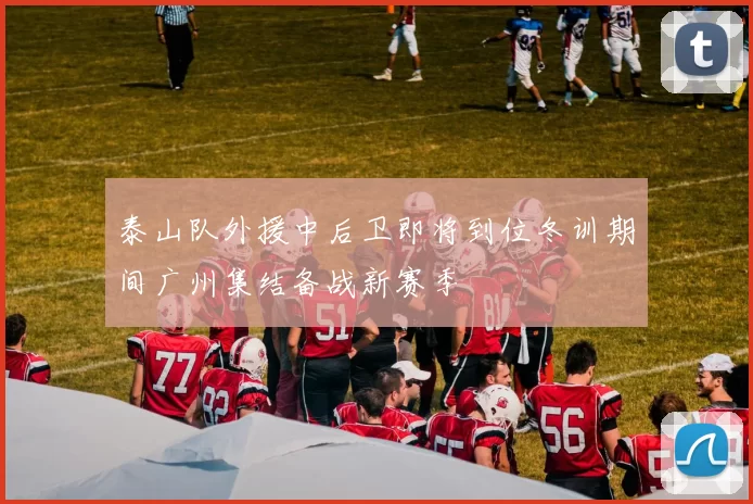 泰山队外援中后卫即将到位冬训期间广州集结备战新赛季